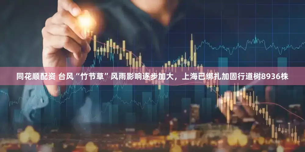 同花顺配资 台风“竹节草”风雨影响逐步加大，上海已绑扎加固行道树8936株